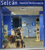 Selcán. Centro veterinario y tienda de animales en Avilés