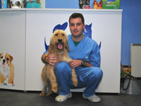Servicios veterinarios en Mieres. Hospitalizacin de urgencias